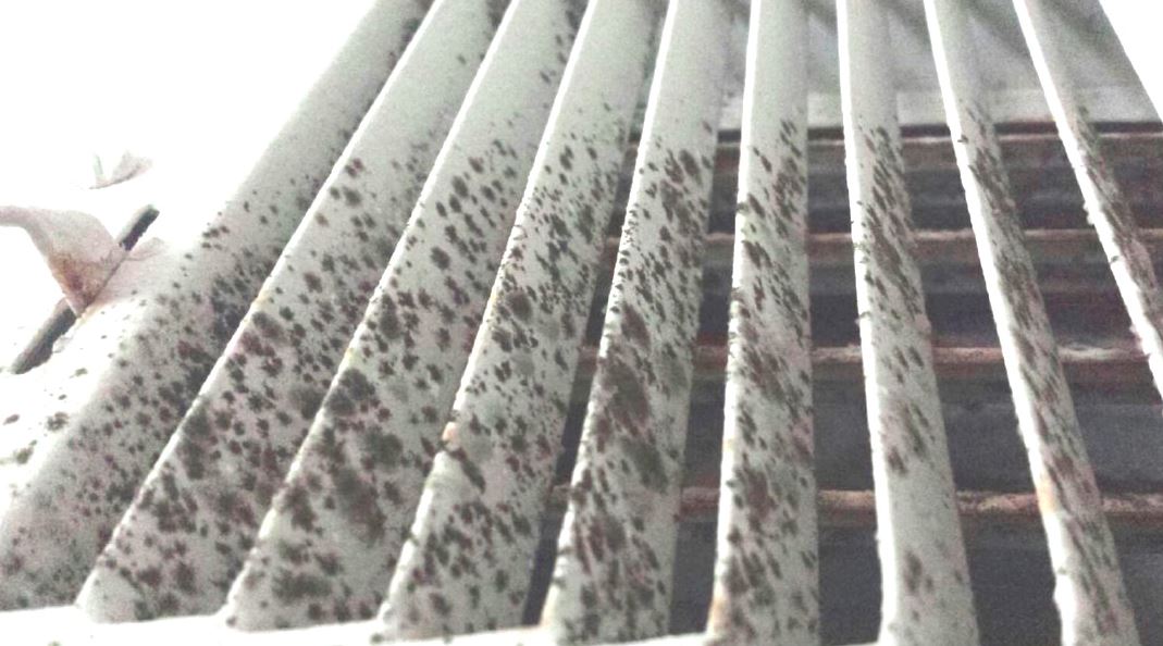 Mold In Air Duct Vents